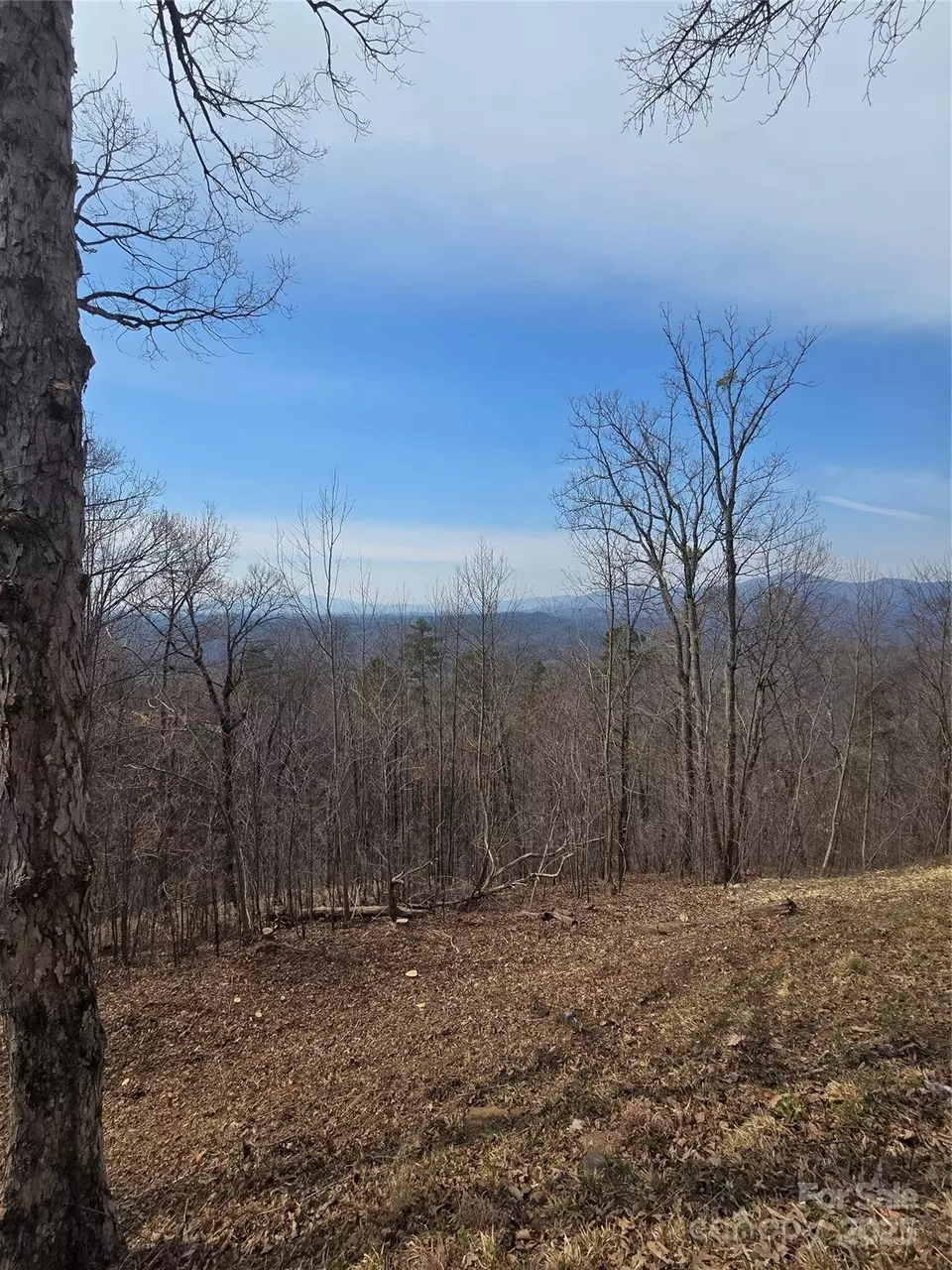  00 Golden Ridge 209 Dr #209, Lake Lure, NC 28746 photo 8