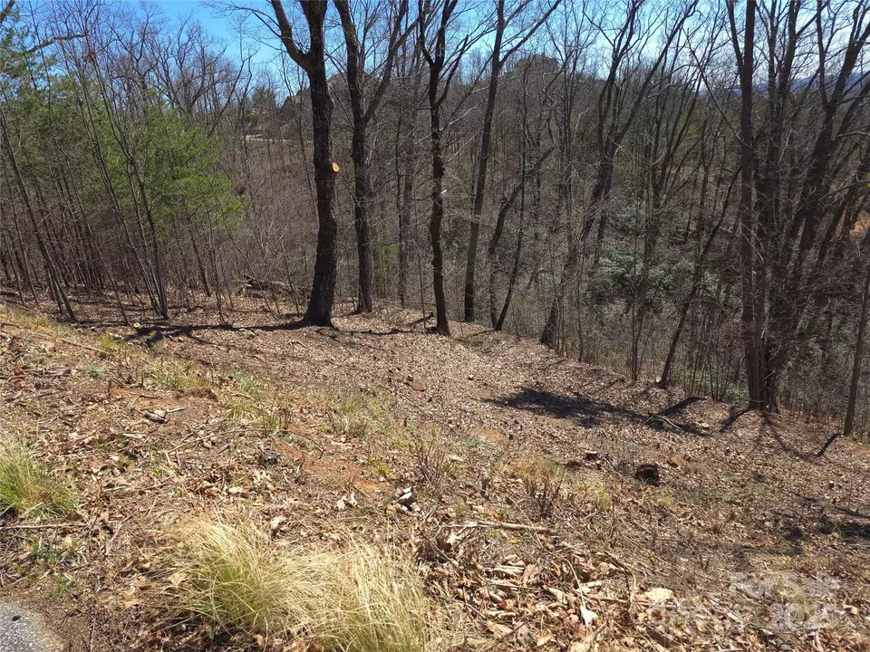  00 Golden Ridge 209 Dr #209, Lake Lure, NC 28746 photo 7