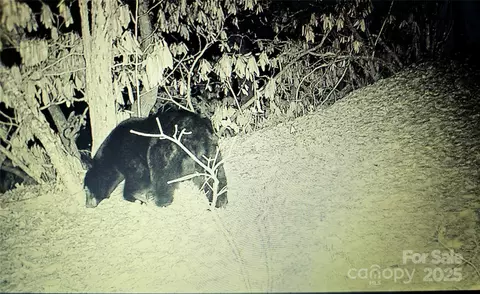 000 Long Winding Rd, Sylva, NC 28779