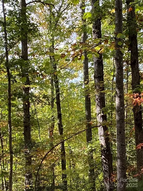 Mentink Way, Nebo, NC 28761