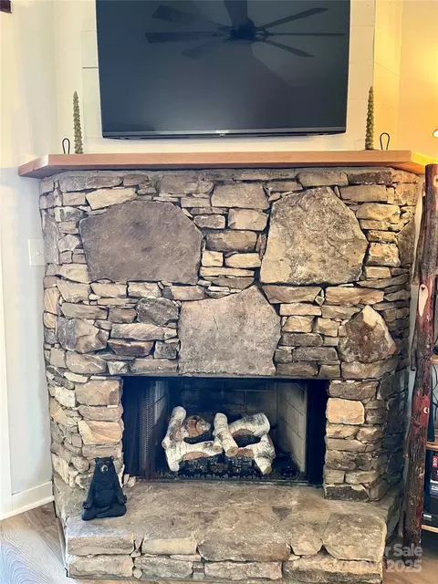 Other - 2541 Wolf Laurel Rd, Mars Hill, NC 28754 photo 1 of 5