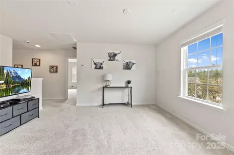 Other - 10773 Sapphire Trl, Davidson, NC 28036 photo 10 of 12