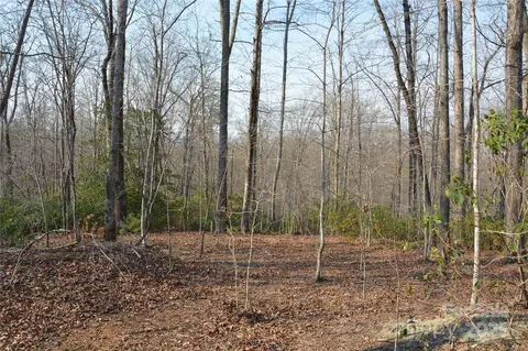 Big Branch Drive, Marion, NC 28752 photo 4