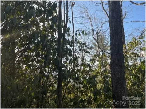 00 Rules Run 31a Rd #31A, Clyde, NC 28721