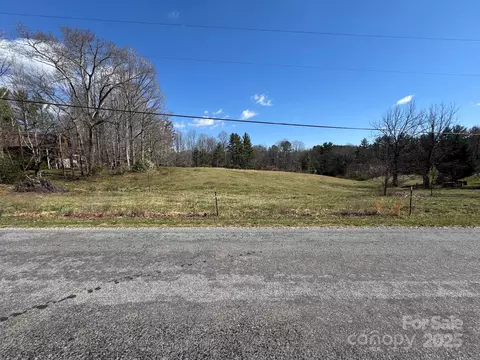 Lytle Road, Fletcher, NC 28732 photo 20