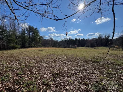 Lytle Road, Fletcher, NC 28732 photo 12