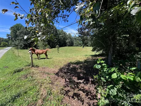 Lytle Road, Fletcher, NC 28732 photo 5