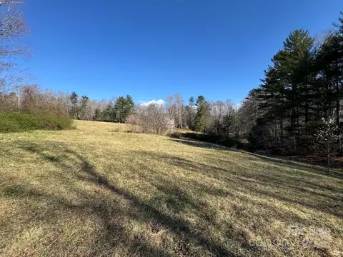 Lytle Road, Fletcher, NC 28732 photo 16