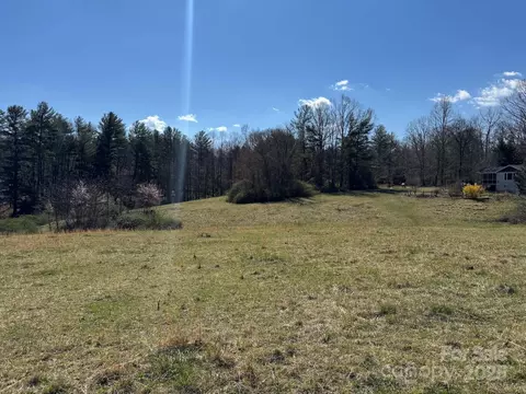 Lytle Road, Fletcher, NC 28732 photo 34