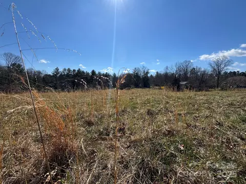 Lytle Road, Fletcher, NC 28732 photo 33