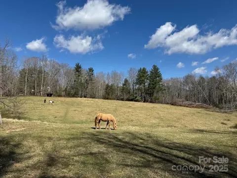 Lytle Road, Fletcher, NC 28732 photo 3