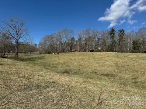Lytle Road, Fletcher, NC 28732 photo 11