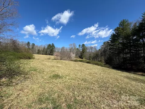 Lytle Road, Fletcher, NC 28732 photo 30