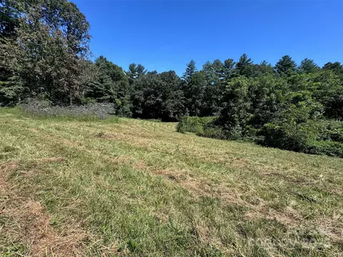 Lytle Road, Fletcher, NC 28732 photo 27