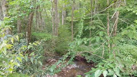 24 Village Ln, Waynesville, NC 28786