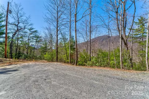 Deer Lane, Marion, NC 28752 photo 4