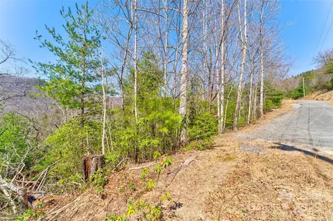 Deer Lane, Marion, NC 28752 photo 6