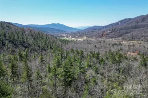 Deer Lane, Marion, NC 28752 photo 3