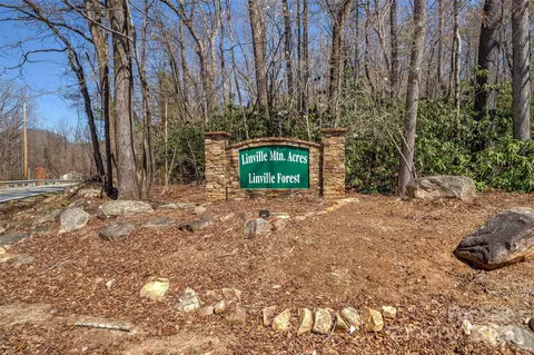 Deer Lane, Marion, NC 28752 photo 10