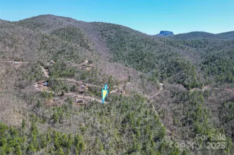 Deer Lane, Marion, NC 28752 photo 9