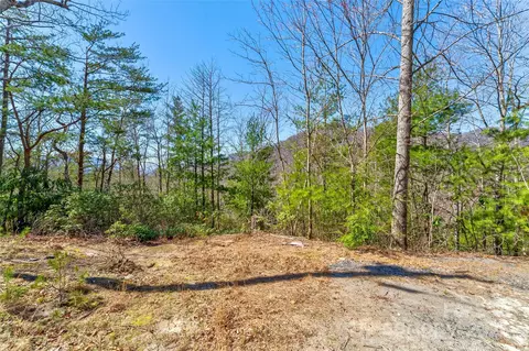 Deer Lane, Marion, NC 28752 photo 13