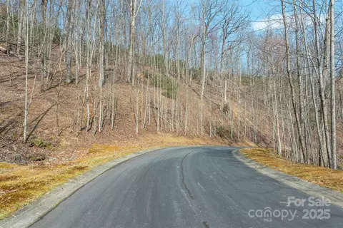 0 Shining Rock 11 Path #11, Horse Shoe, NC 28742