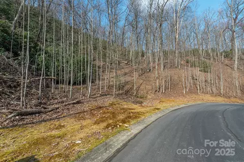 0 Shining Rock 12 Path #12, Horse Shoe, NC 28742