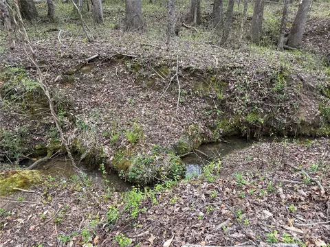 Faulkner Road, Clover, SC 29710 photo 11