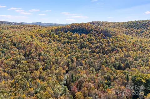 5389 Cascade Lake Rd, Cedar Mountain, NC 28718 photo 23