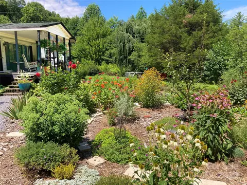 3719 Upper Shut In Rd, Hot Springs, NC 28743