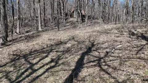 Blockaders Den Road, Columbus, NC 28722 photo 15