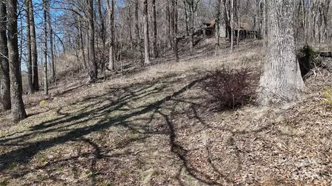 Blockaders Den Road, Columbus, NC 28722 photo 14
