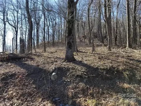 Blockaders Den Road, Columbus, NC 28722 photo 33
