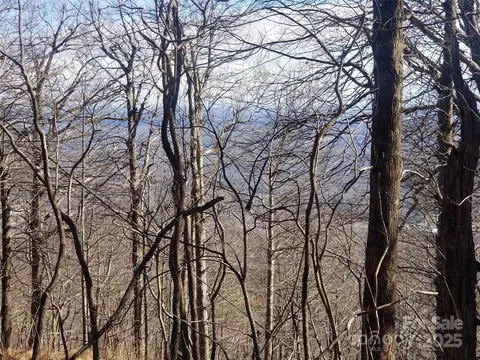 Blockaders Den Road, Columbus, NC 28722 photo 27