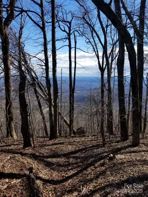 Blockaders Den Road, Columbus, NC 28722 photo 23