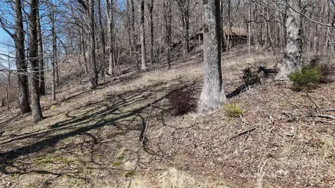 Blockaders Den Road, Columbus, NC 28722 photo 9