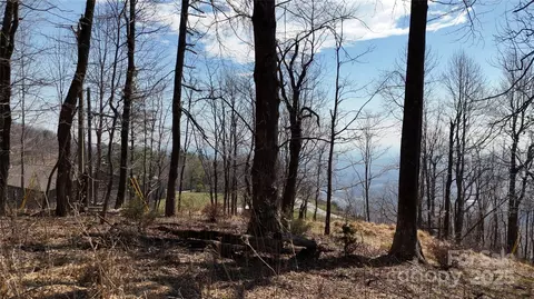 Blockaders Den Road, Columbus, NC 28722 photo 6