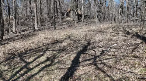 Blockaders Den Road, Columbus, NC 28722 photo 4