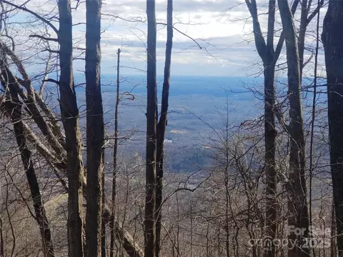 Blockaders Den Road, Columbus, NC 28722 photo 26