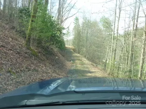 Joe Tweed Road, Marshall, NC 28753 photo 10