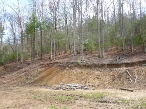 Joe Tweed Road, Marshall, NC 28753 photo 16