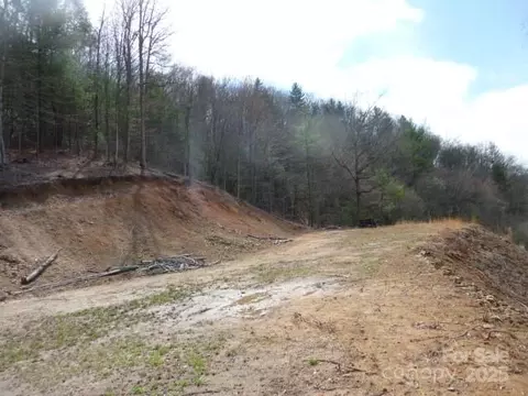 Joe Tweed Road, Marshall, NC 28753 photo 17