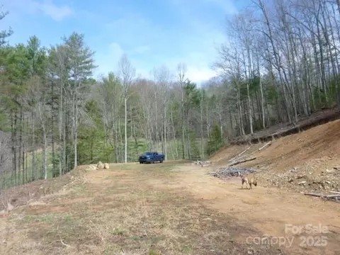 Joe Tweed Road, Marshall, NC 28753 photo 22