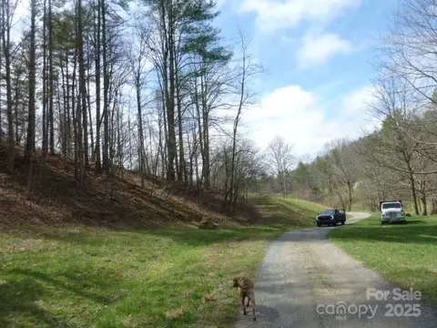 Joe Tweed Road, Marshall, NC 28753 photo 9