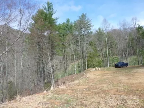 Joe Tweed Road, Marshall, NC 28753 photo 23