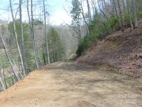 Joe Tweed Road, Marshall, NC 28753 photo 25