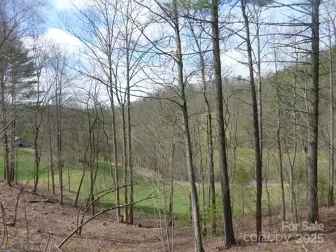 Joe Tweed Road, Marshall, NC 28753 photo 15