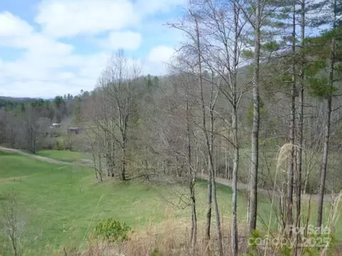 Joe Tweed Road, Marshall, NC 28753 photo 19