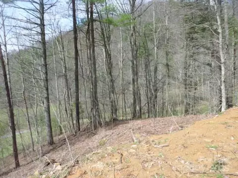 Joe Tweed Road, Marshall, NC 28753 photo 13