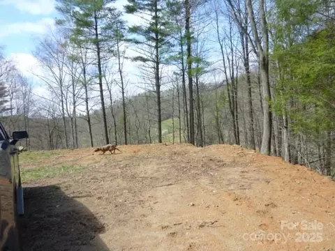 Joe Tweed Road, Marshall, NC 28753 photo 27